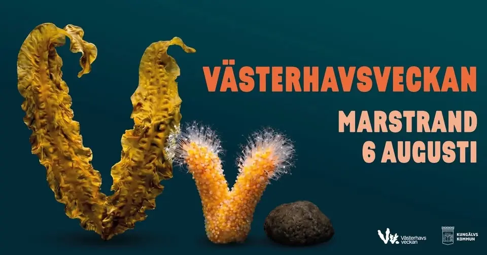 Västerhavsveckan på Marstrand