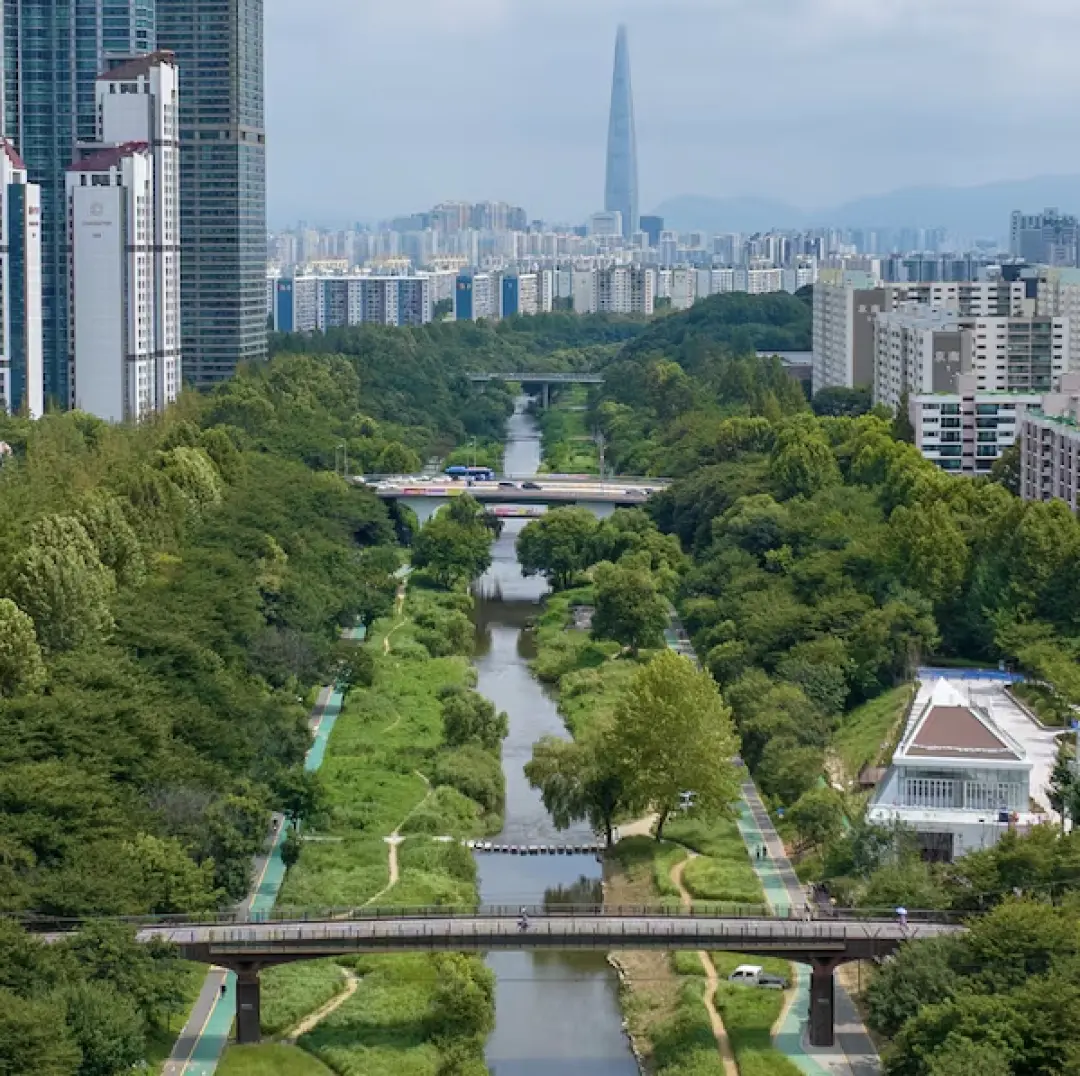 [ICML Run Club] Yangjaecheon Stream Trail