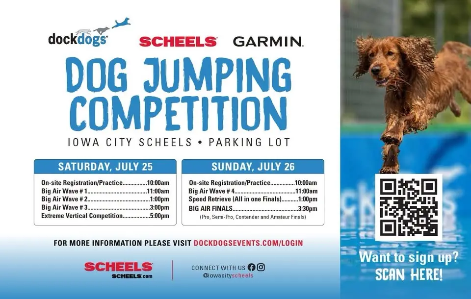 DockDogs