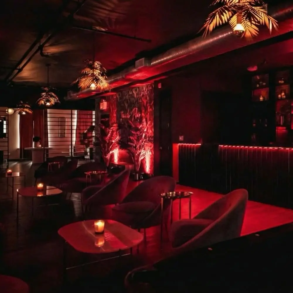 Backroom Bachata: Opening Night đđ»đșđœđž