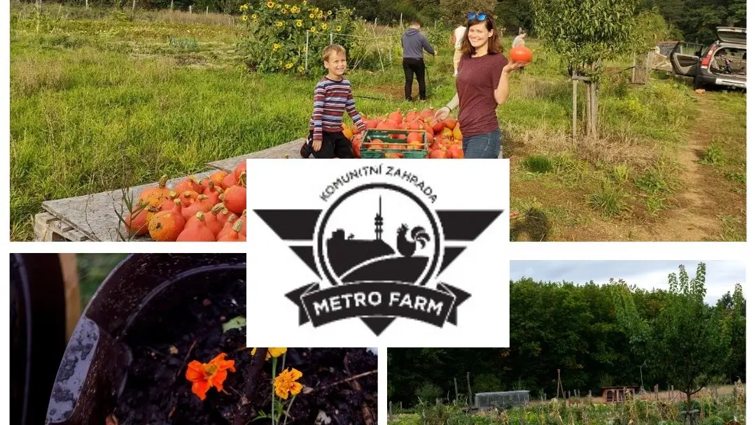 Gardening on an island urban farm