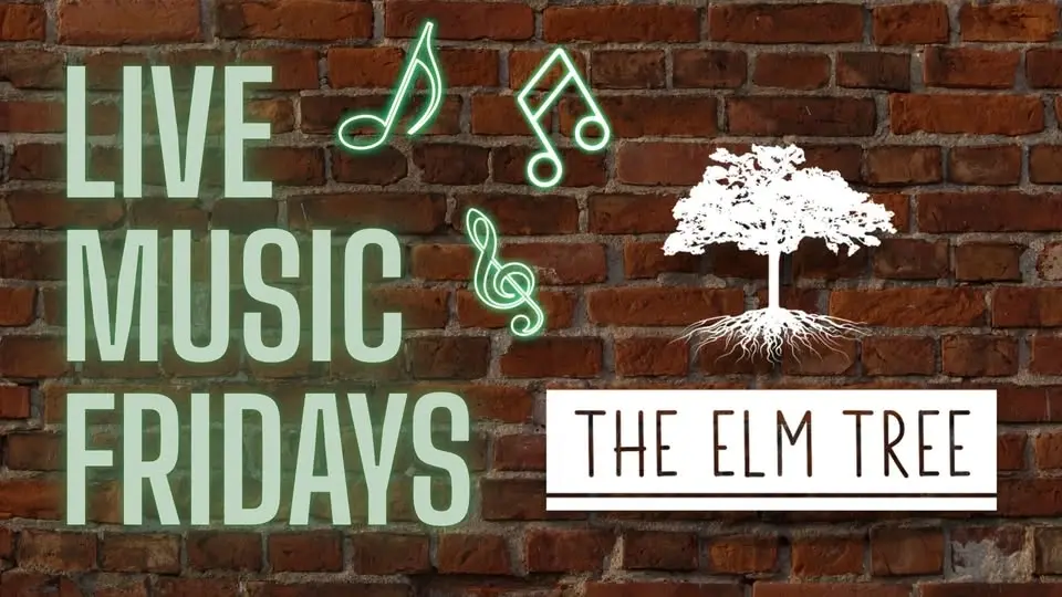 Live Music Friday's -Phil Lowen