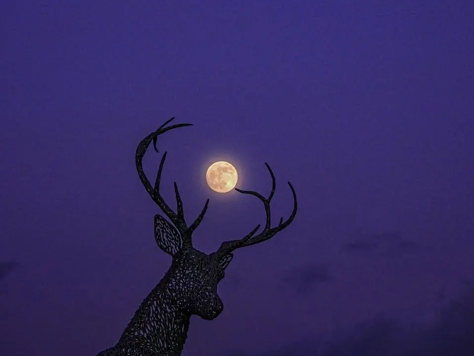 Full BUCK MOON Circle & BeachDance