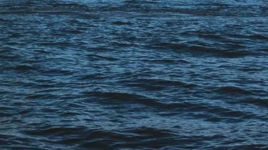 South Street Seaport Museum Announces City of Water Day