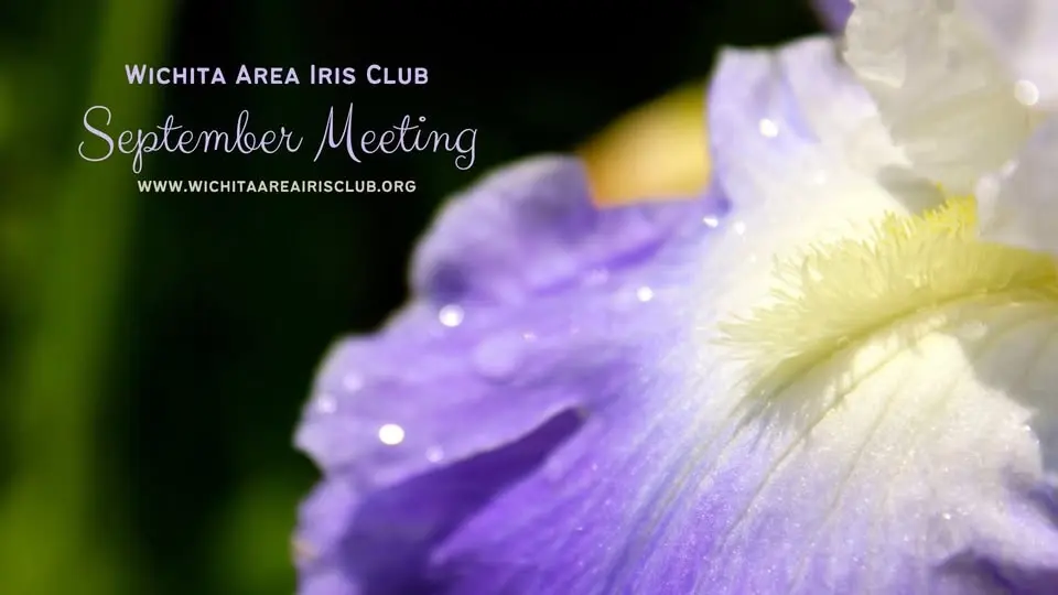 September Iris Club Meeting | Elections and Iris Swap