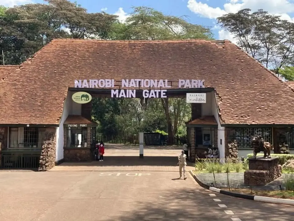 NAIROBI NATIONAL PARK WILDERNESS RESET