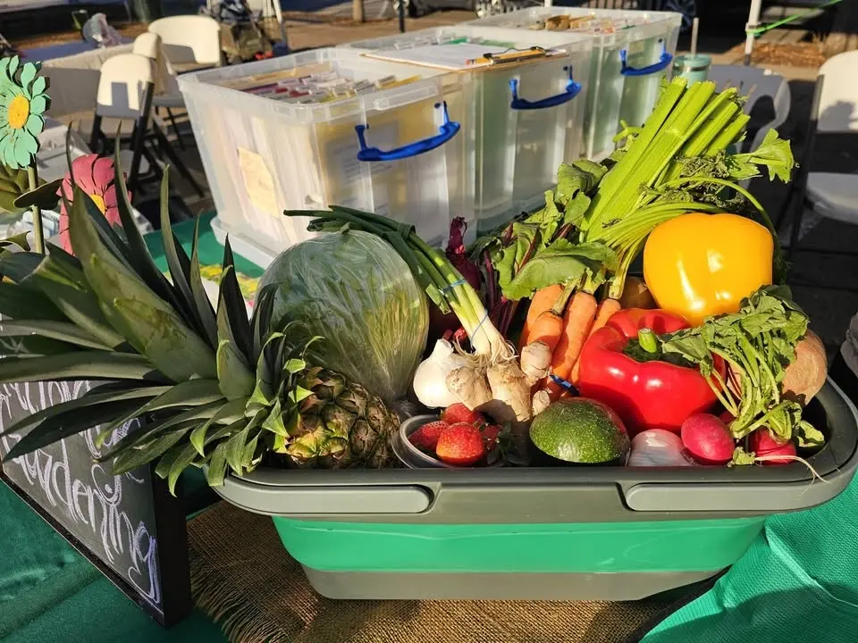 Master Gardeners at Waco Downtown Farmers Market: Garden to Table (and Back Again)