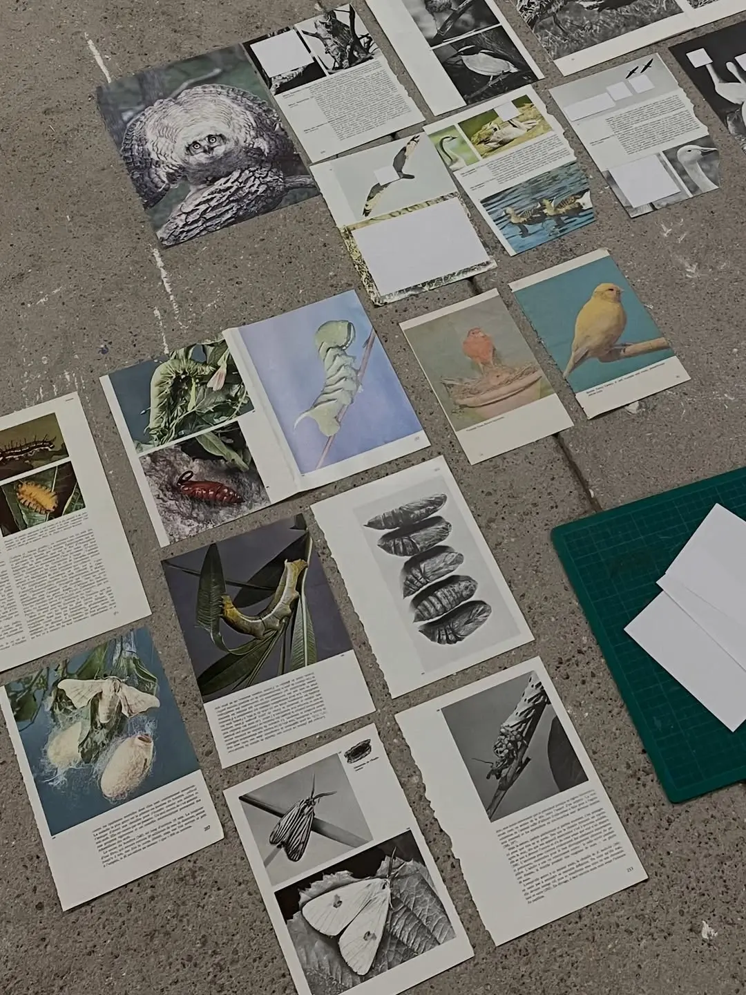 Magnet – Elisa Florimond Solo Exhibition Opening