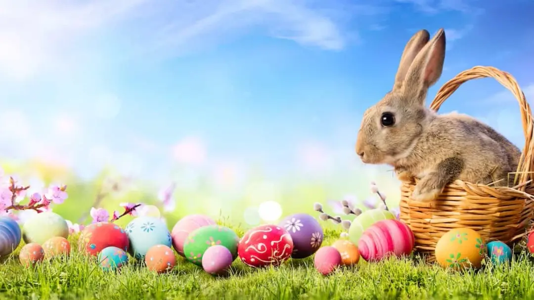 🐰🍷 Tokyo Easter Party 🥚 Egg Hunt, Wine & International Friends