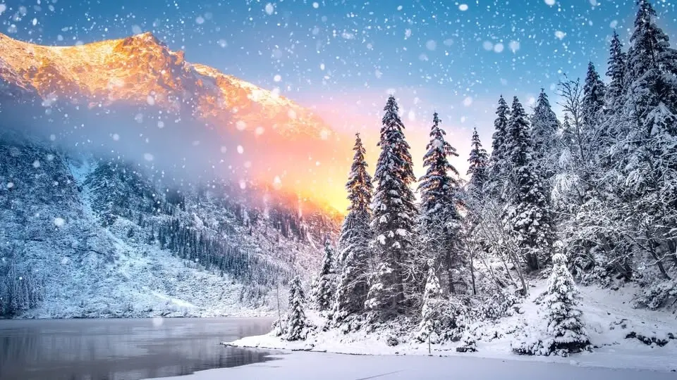 Dreki Frost: A Winter Solstice Market ❄️☃️