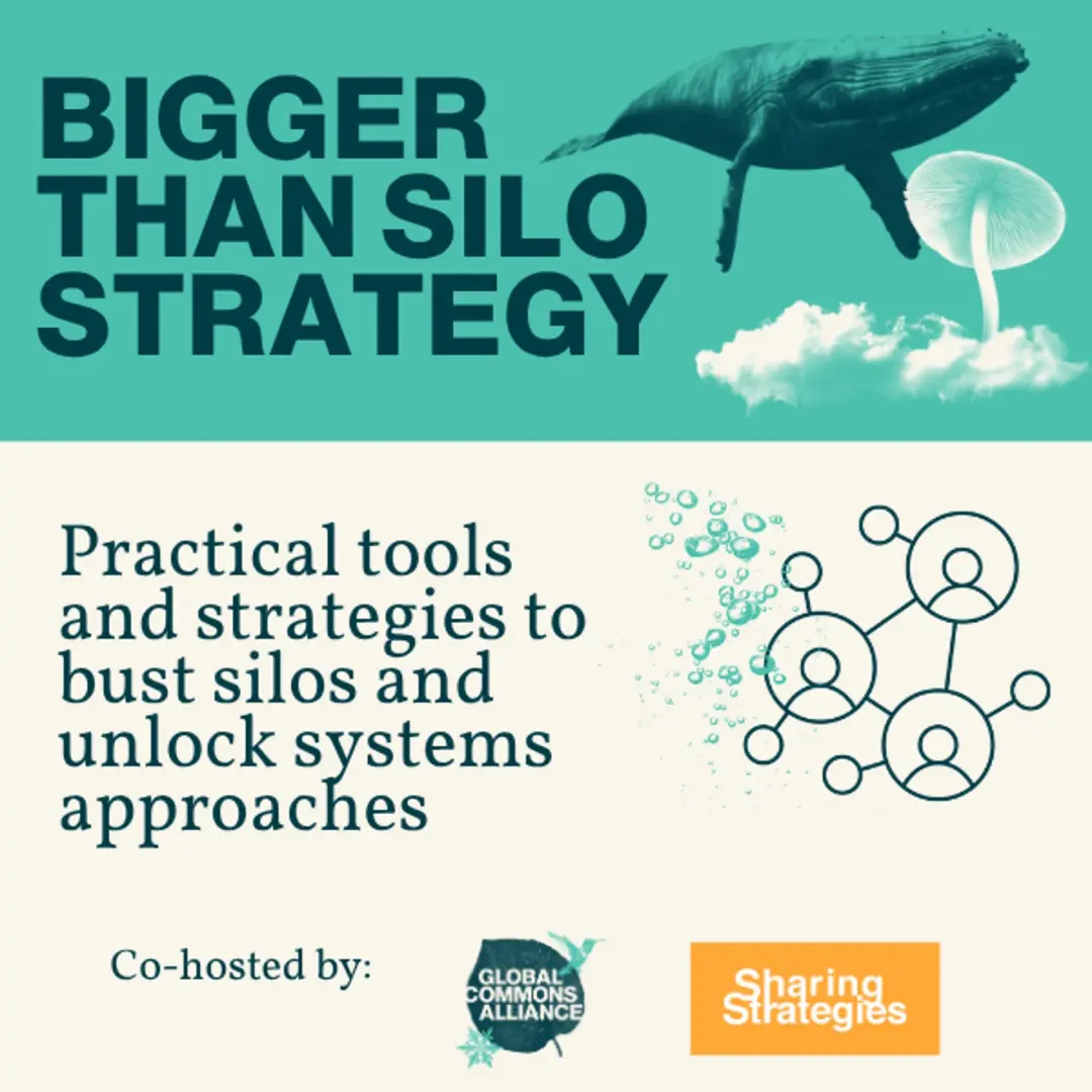 Bigger than [Silo] Strategy: Practical tools and strategies to bust silos and unlock systems approaches