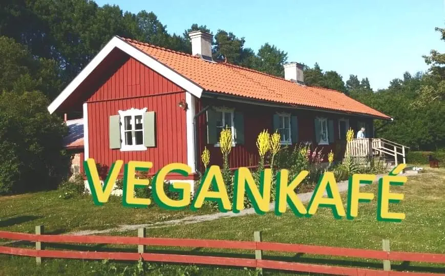 Vegankafé i maj!