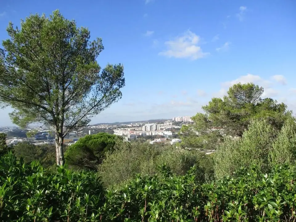 Circuito dos 8 Miradouros de Lisboa