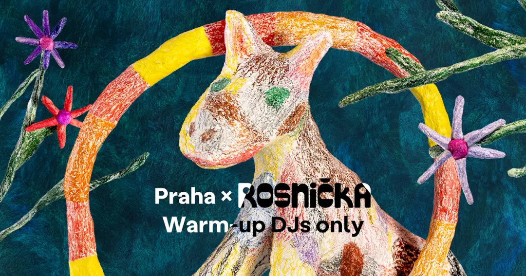 FESTIVAL ROSNIČKA 2026 Warm-up DJs only