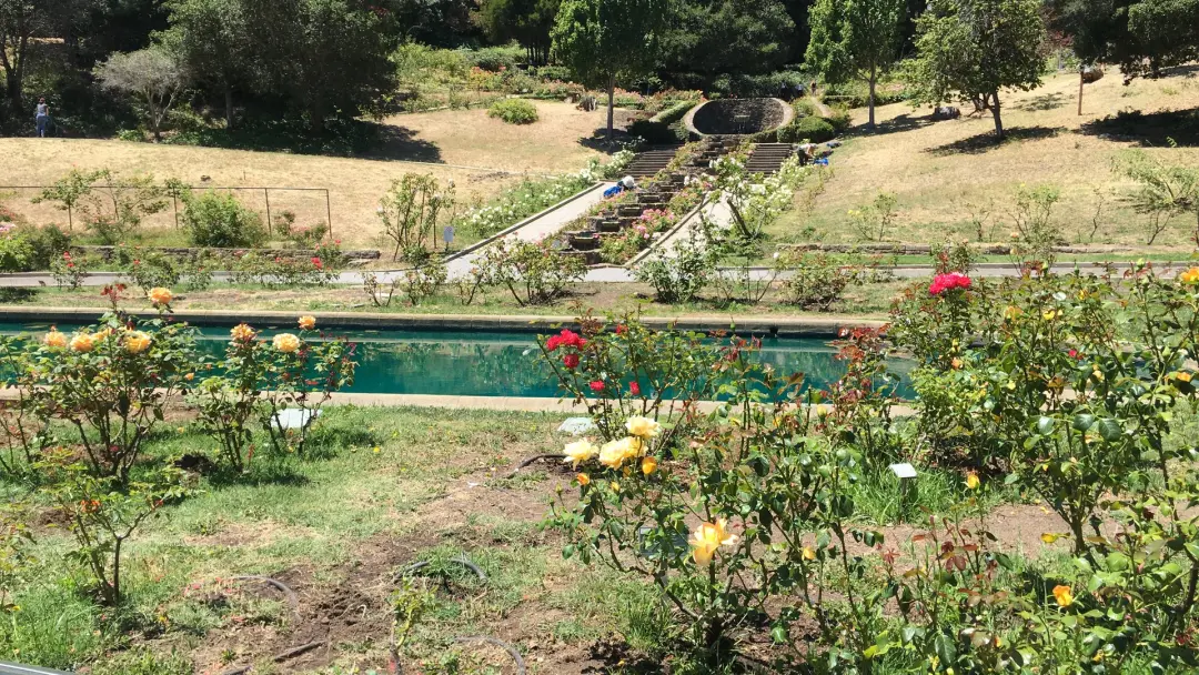 The Oakland Rose Garden & Lakeshore Neighborhood's Pathways/Stairs Walk