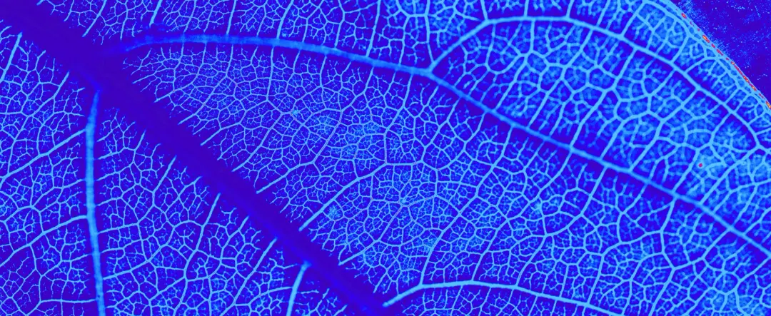 Sustainable Biotech Hubs