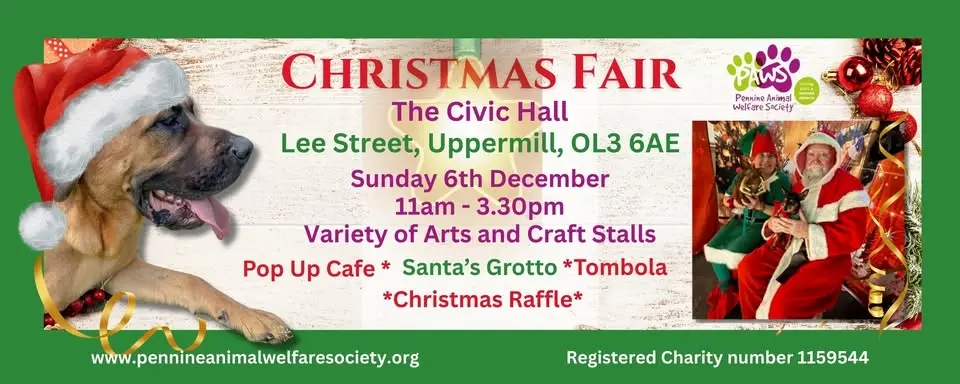 Christmas Fair Civic Hall, Uppermill. 