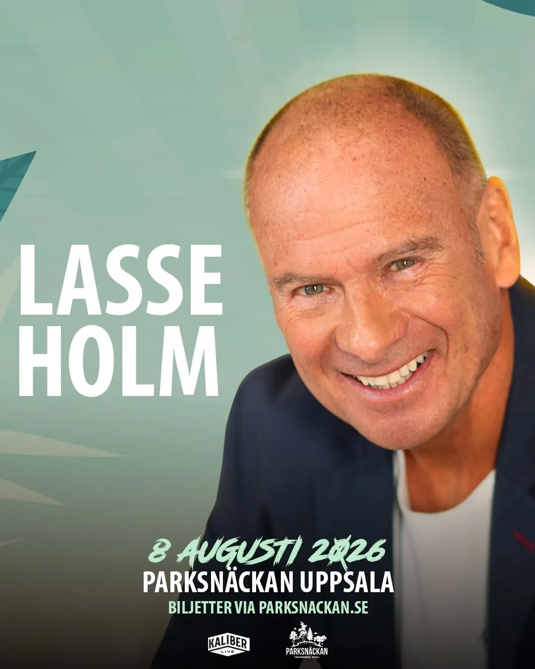 Lasse Holm – En hel massa Lasse