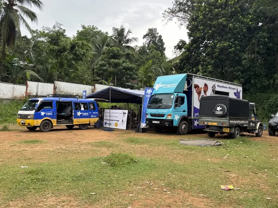 FREE - Dog Spay/Neuter Clinic - Kurana - Negombo