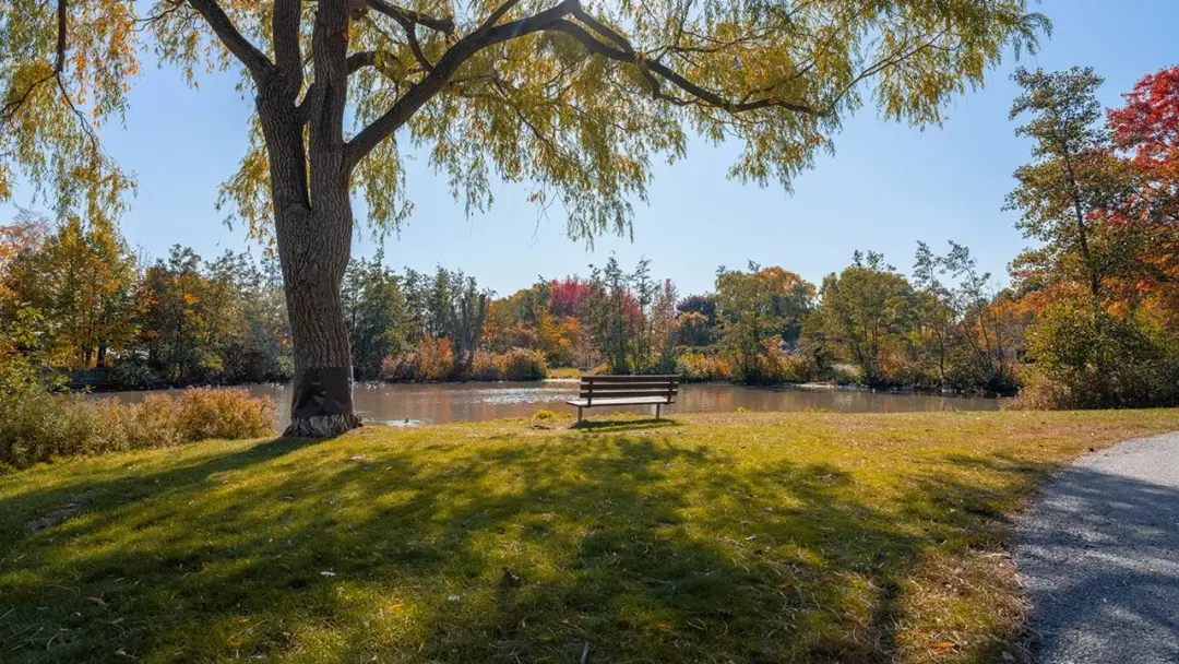 SUNDAY IN JULY NATURE WALK and NIGHTLIFE IN PORT CREDIT (Walk, Talk & Flock!)