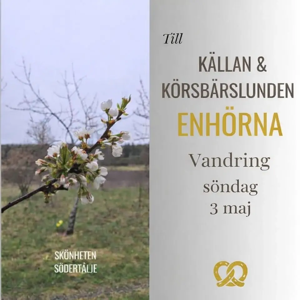 På upptäcktsfärd i Södertälje - Enhörna Körsbärslund & Mars Källan