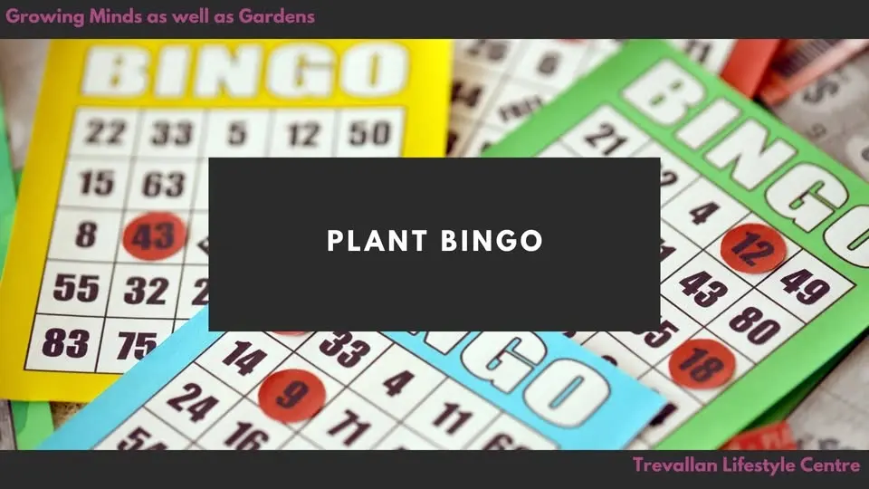 Plant Bingo