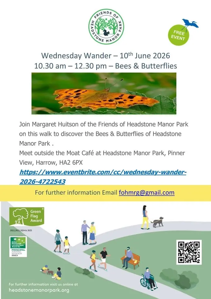 Wednesday Wander - Bees & Butterflies