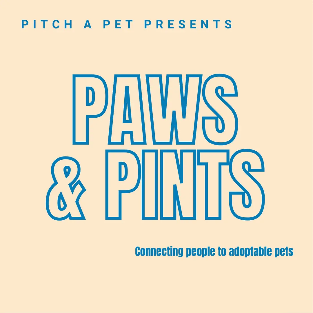 Pitch A Pet Chicago | Paws & Pints