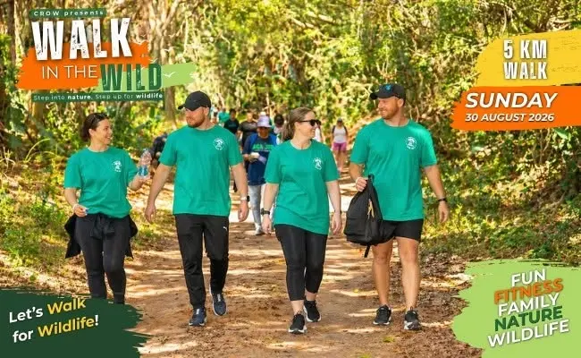 Walk In The Wild 2026