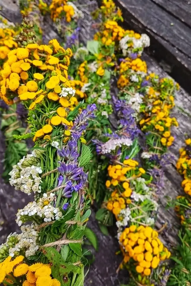 Ziołowe smużki w kobiecym kręgu 🌿3 edycja