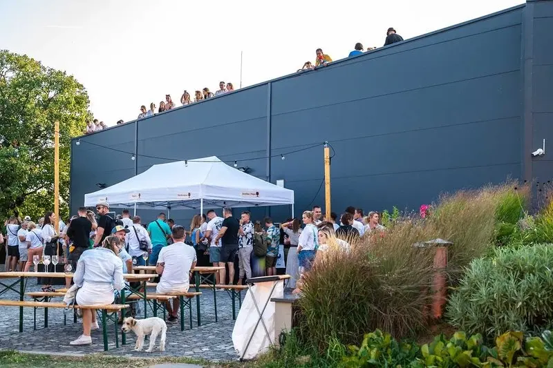 Vlci a ruže Minifestival 2026