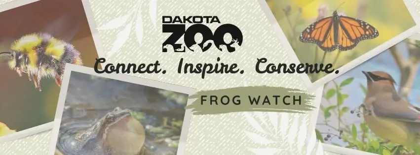 Connect Inspire Conserve: Frogs