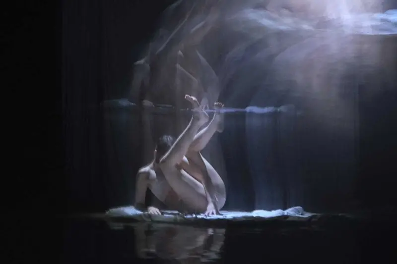 Fresh Dance