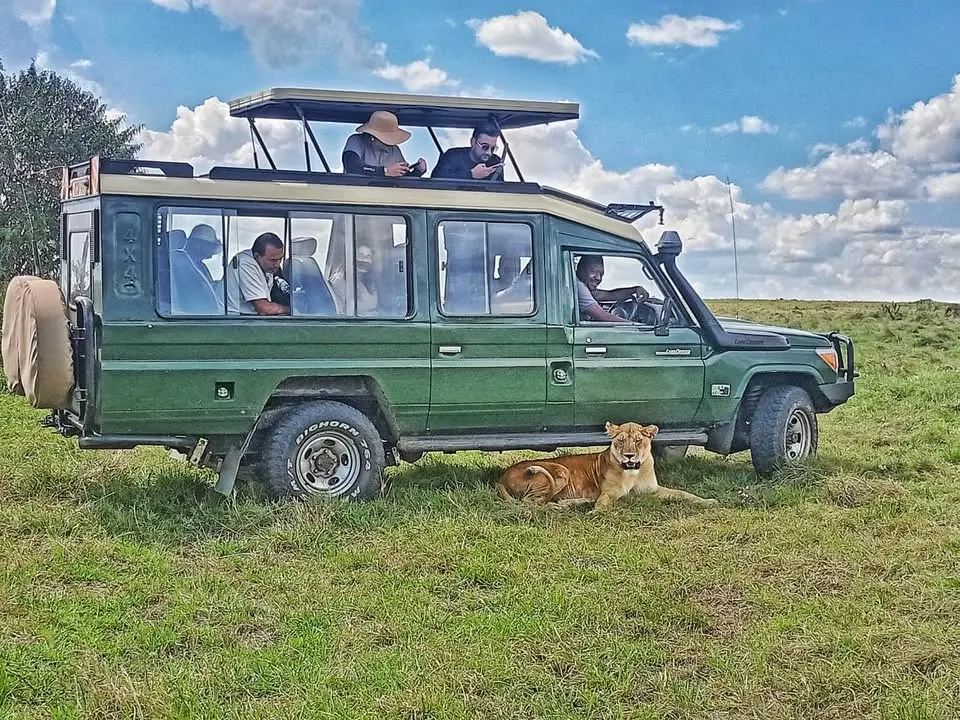 Masai Mara migration safari 