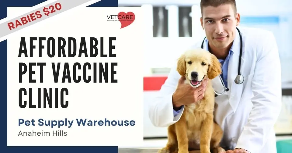 Affordable Pet Vaccine Clinic - Pet Supply Warehouse AH