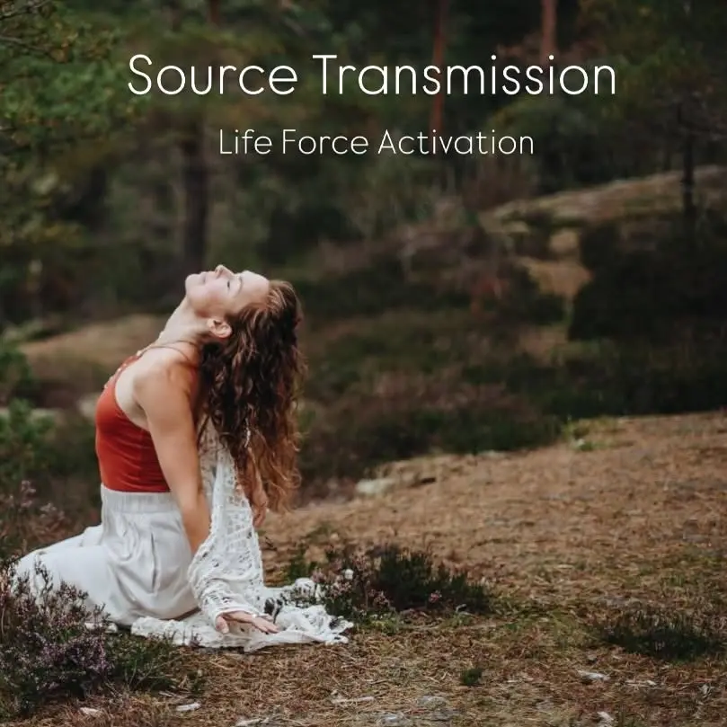 Energisession - Spinal Energetics + LFA med Lina