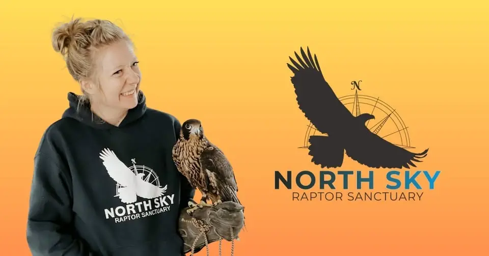 Raptors LIVE!
