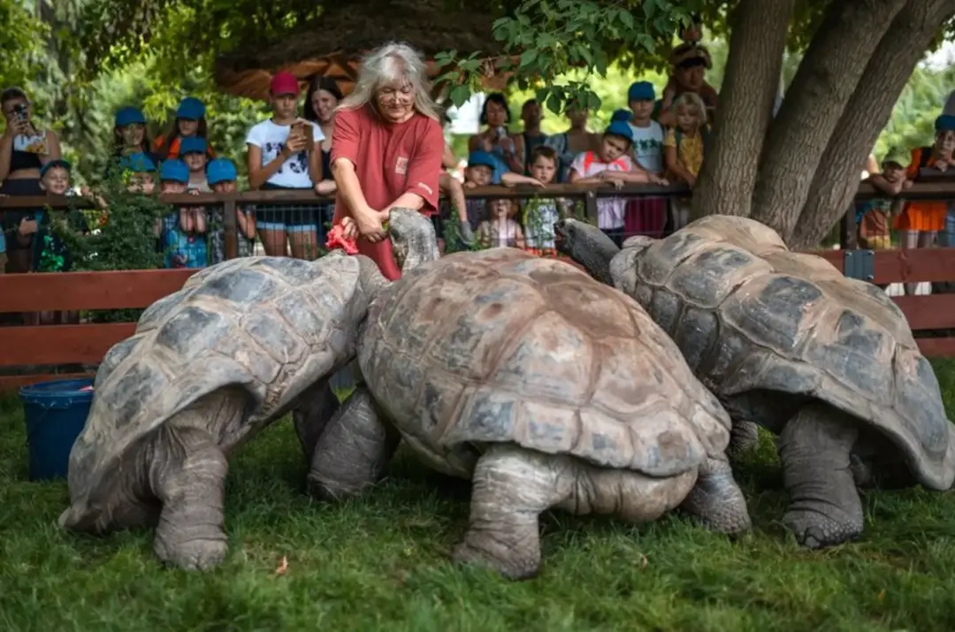 Melounové středy v zoo Praha