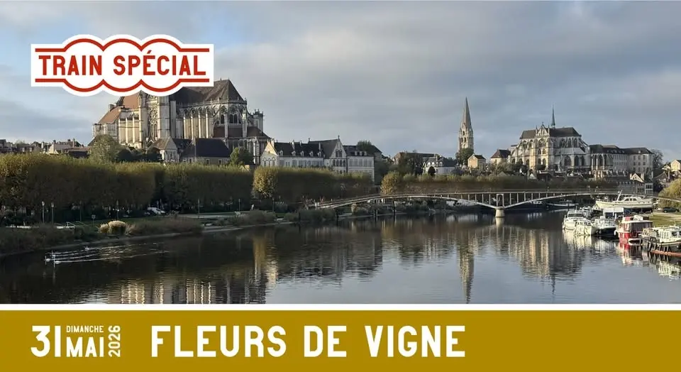 Fleurs de Vigne