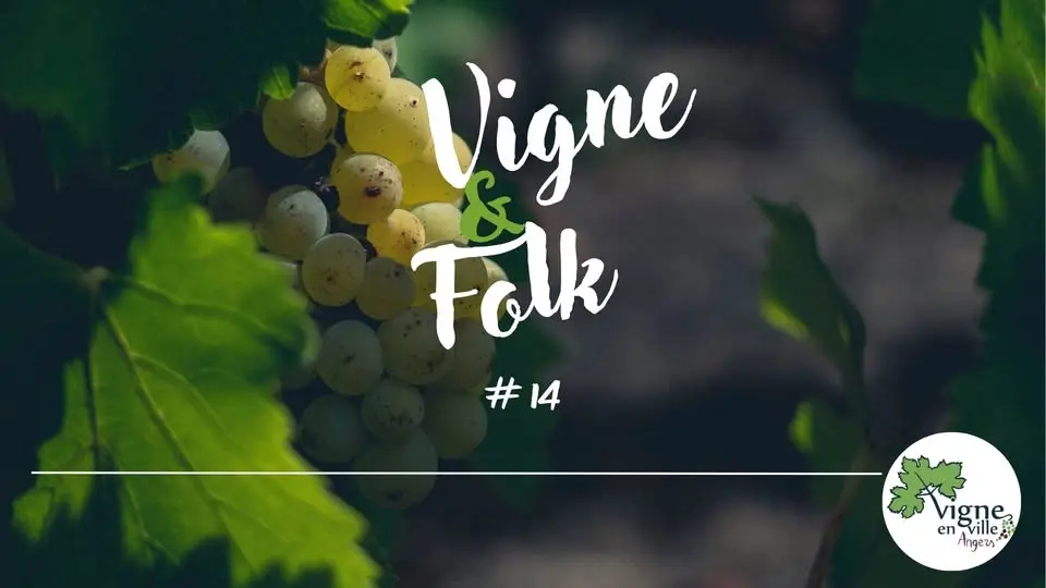 Vigne & Folk #14