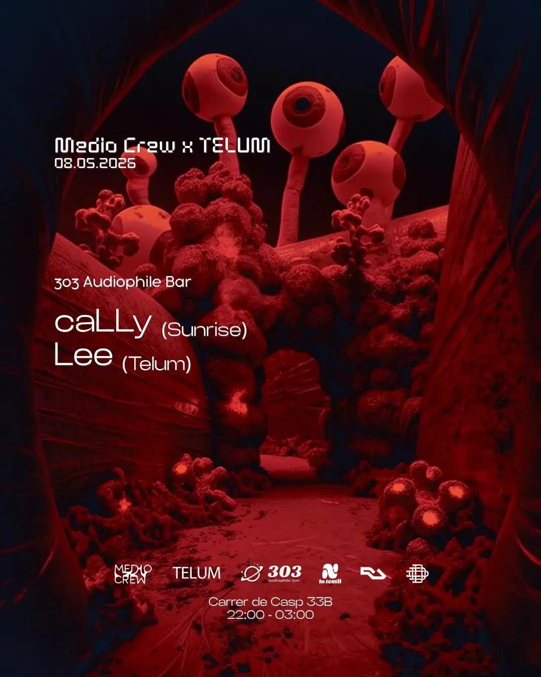 Medio Crew x TELUM pres. caLLy (Ro) at 303