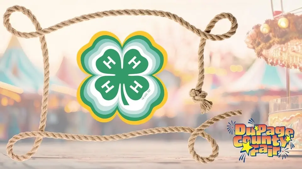 4-H Alumni Round-Up @ DuPage County Fair