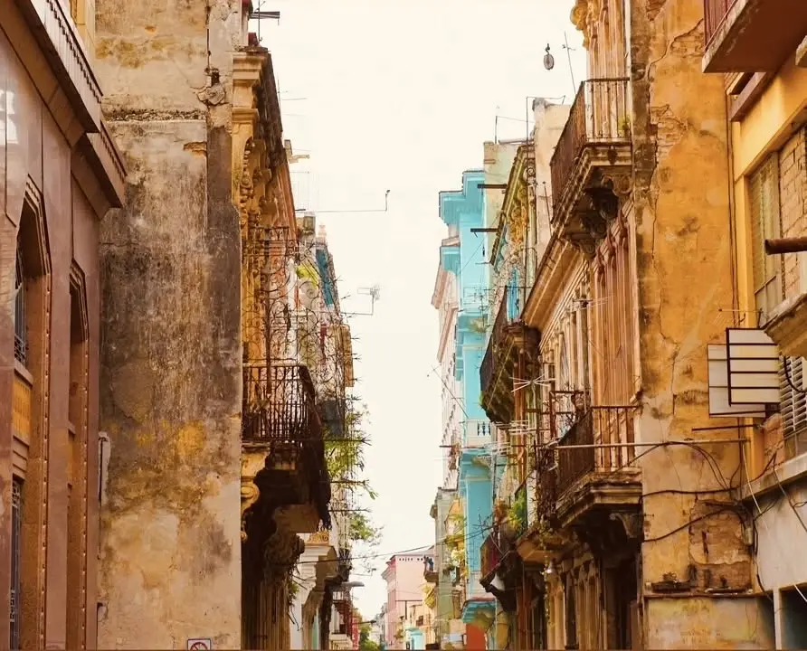Pablo Cardenas Presents "A Tribute to Buena Vista Social Club"