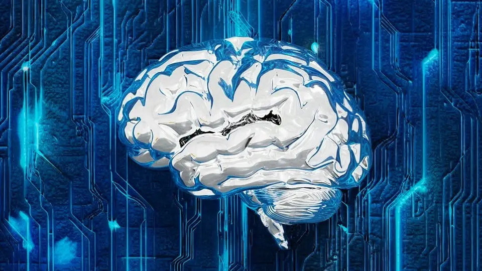 Cognitive Biases with Harel