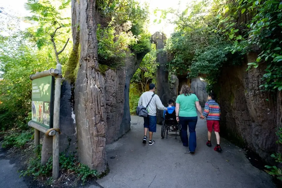 Celebrate Disability Pride Month with Seattle Public Library and Woodland Park Zoo