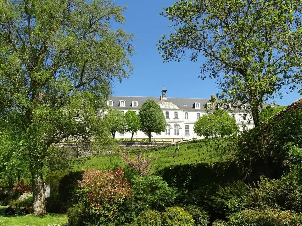 Visite guidée "Angers, côté vigne : visite insolite à l'Abbaye Saint-Nicolas" 🍇