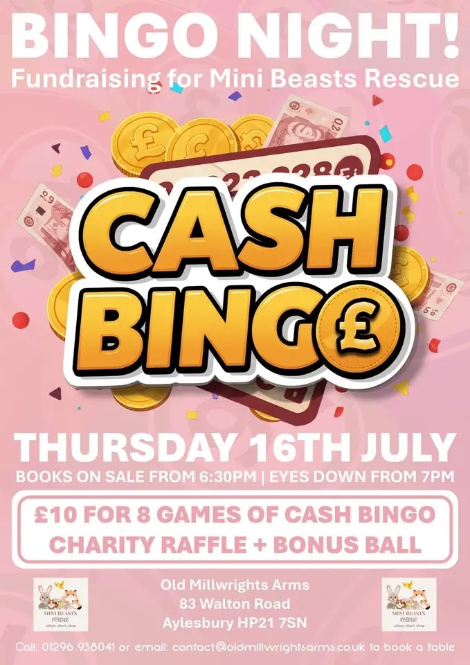 Bingo Night!