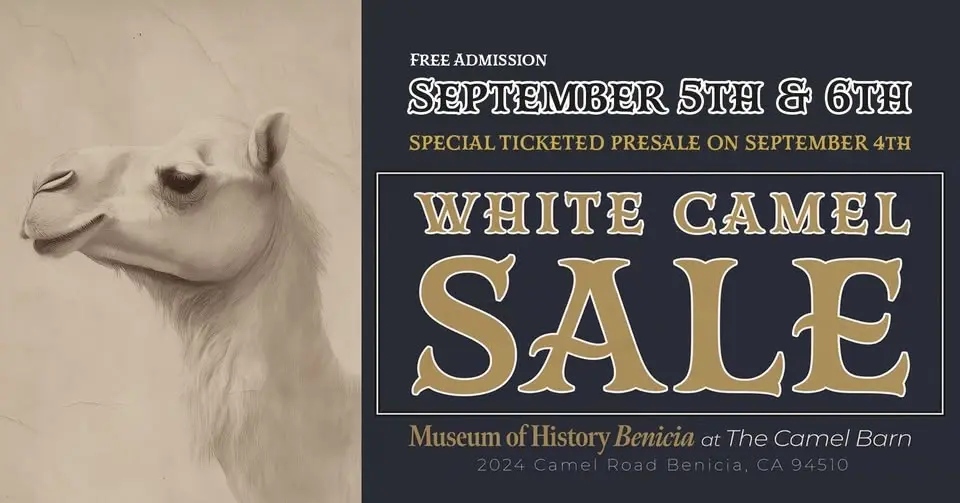 White Camel Sale 2026