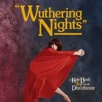 Wuthering Nights: a Kate Bush & Friends Discotheque (Manchester)