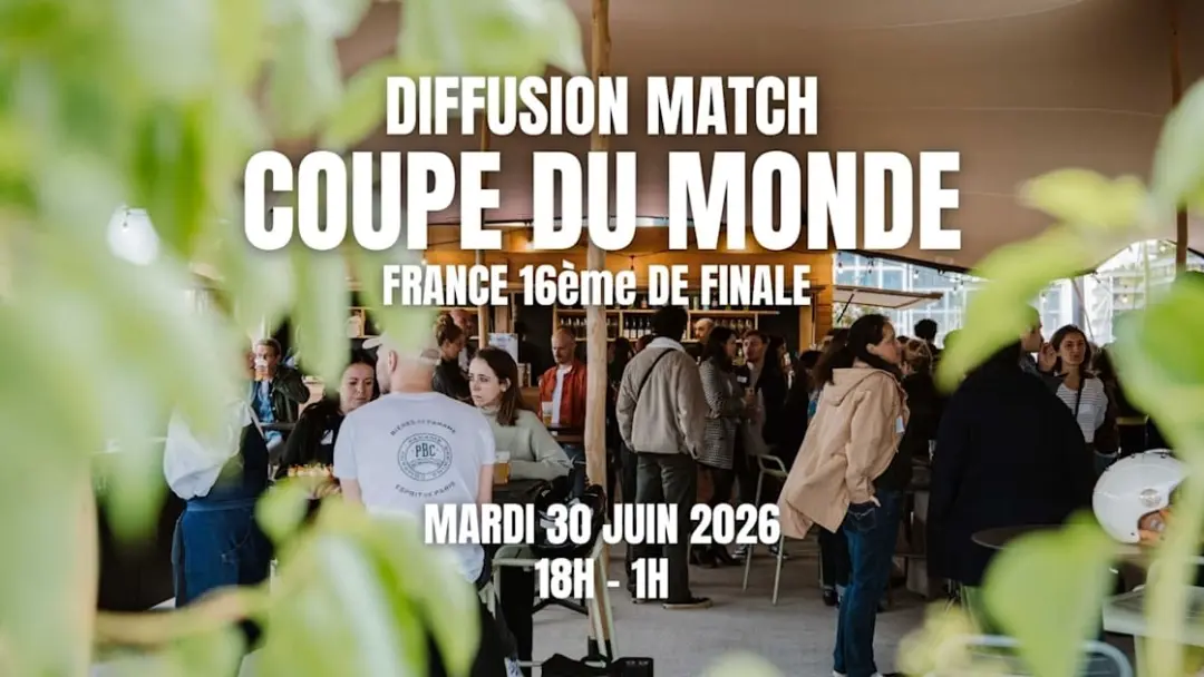 Diffusion Coupe Du Monde : France - Suède